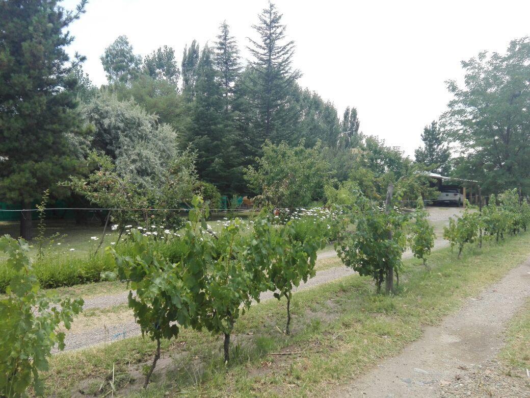 בית הארחה La Consulta 	Casa Rural Entre Bodegas Y Vinedos ' El Jarillal" מראה חיצוני תמונה